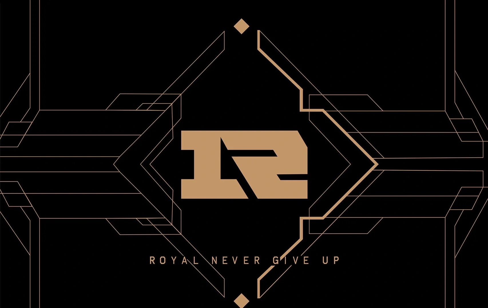  哈兰德个人集锦 -开云体育赛事